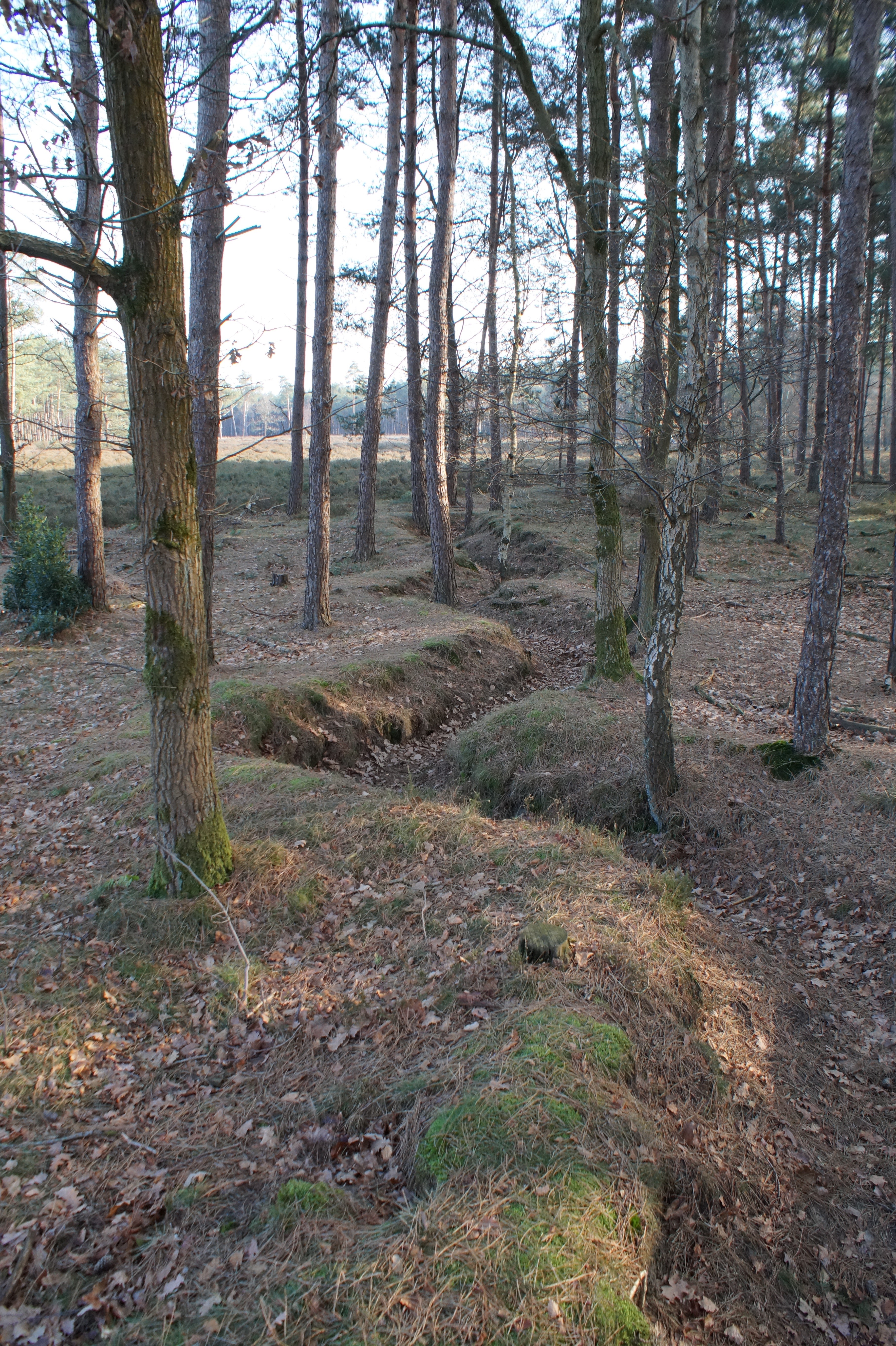 Loopgraaf bij de MASt.jpg